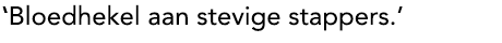 'Ik heb een bloedhekel aan stevige stappers.'